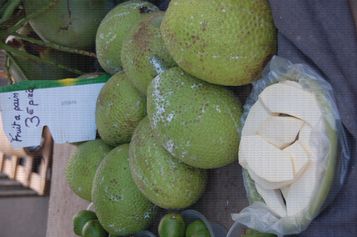 Marché St André (Réunion) - Jacque, fruit d'Artocarpus heterophyllus appelé aussi arbre à pain
